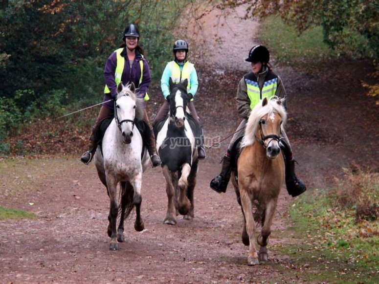 North Worcestershire Equestrian Centre, prices and bookings 2024